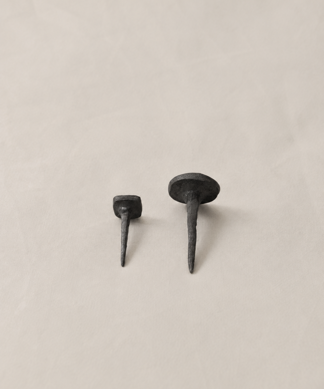 Rusty Carpenter’s Nails