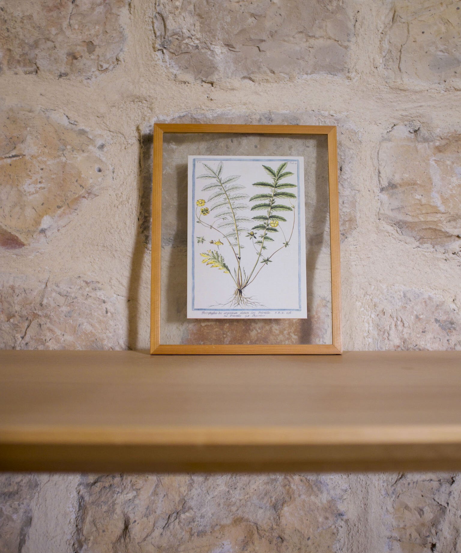 Framed floral print