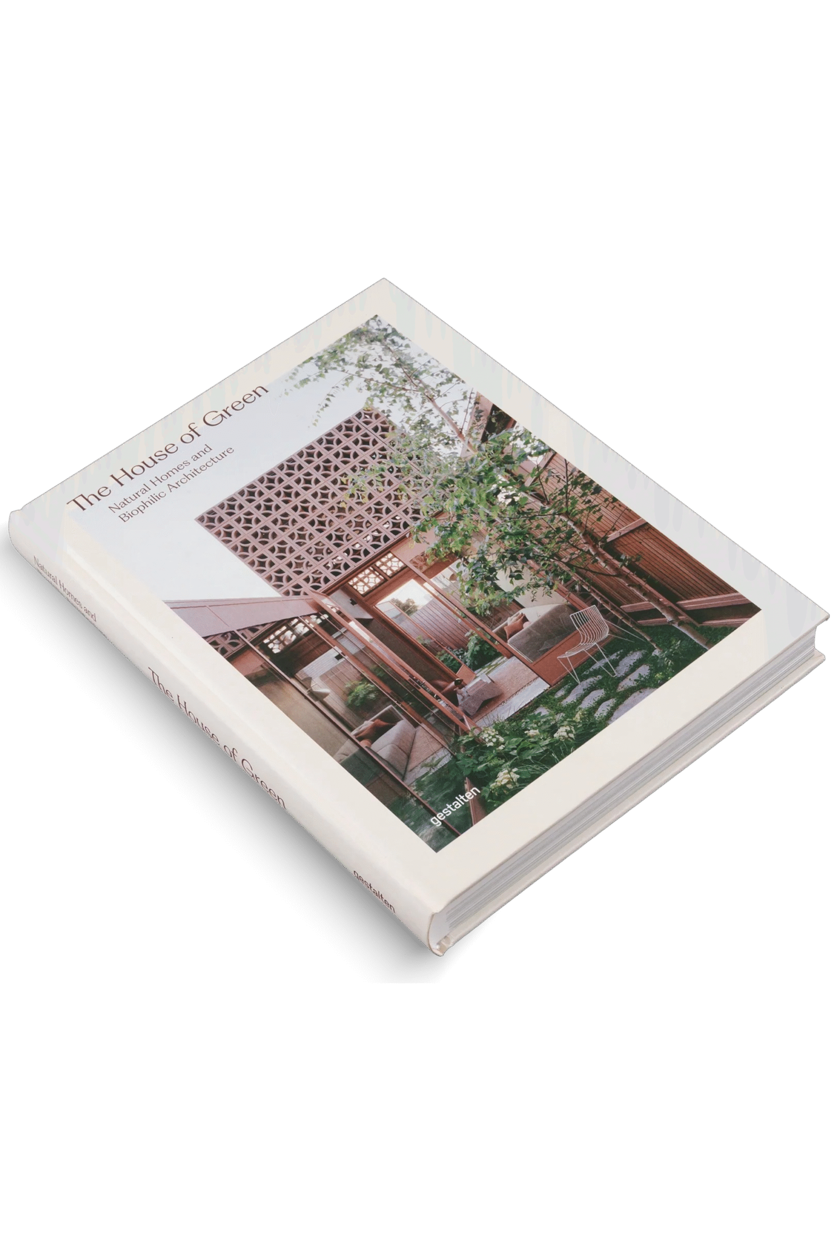 Slide image