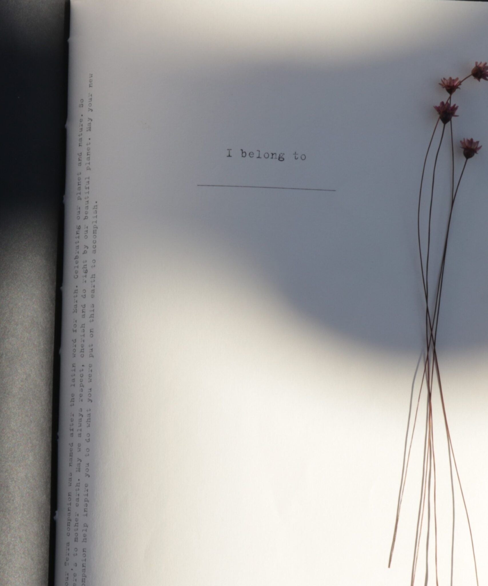 Handstitched Sketchbook\Album